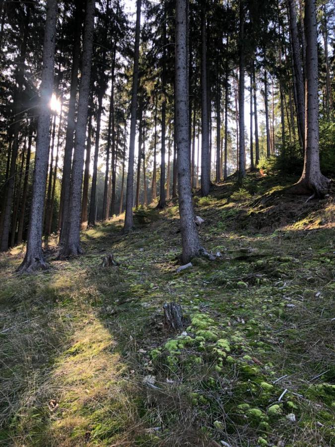 Chata Prachov**** Jičín Buitenkant foto